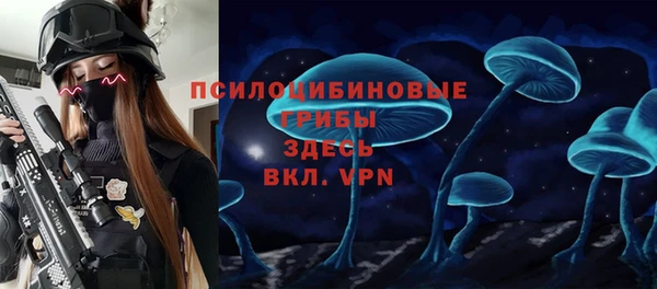 сатива Магадан