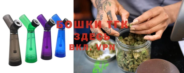 сатива Магадан