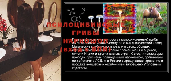 сатива Магадан