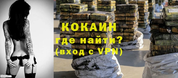 прущие грибы Аша