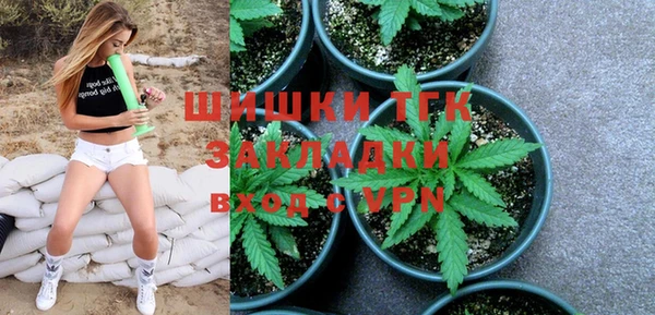 сатива Магадан