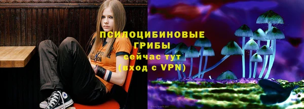 сатива Магадан
