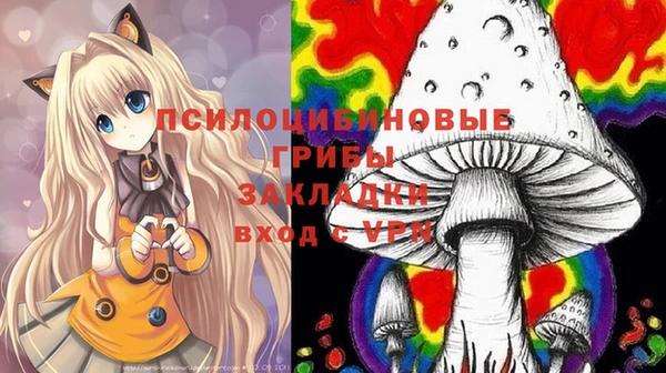 сатива Магадан