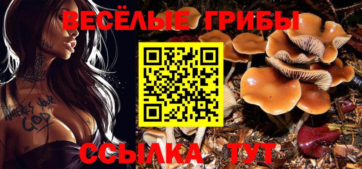 Галлюциногенные грибы прущие грибы  Вход с VPN  Прохладный 