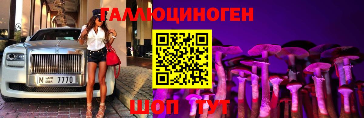 Псилоцибиновые грибы MAGIC MUSHROOMS Прохладный